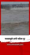 पावसामुळे तापी नदीला पूर