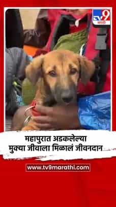 महापुरात अडकलेल्या मुक्या जीवाला मिळालं जीवनदान-1706864