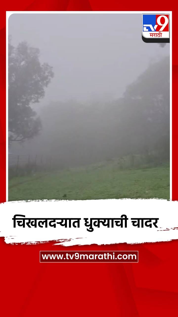 चिखलदऱ्यात धुक्याची चादर-1705006