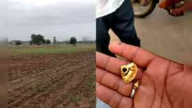 चकाकणारा तुकडा दिसला म्हणून खोदत गेली आणि..हाती लागलं कोट्यवधीच घबाड