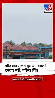 सलग दुसर्‍या दिवशी दमदार पाऊस, गोंदियात नदी-नाले एक, शेतकऱ्यांना दिलासा-1702480