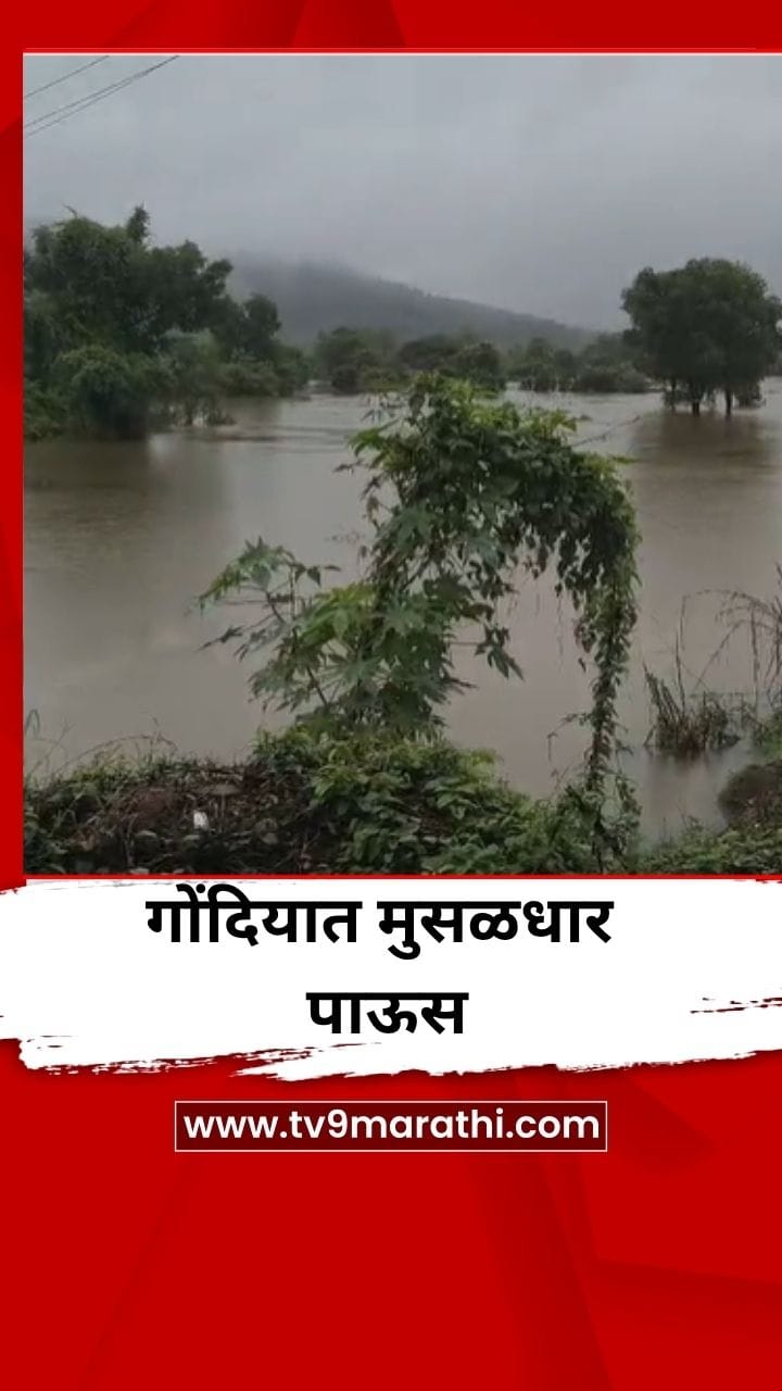 गोंदियात मुसळधार पाऊस, नद्यांना पूर-1705066