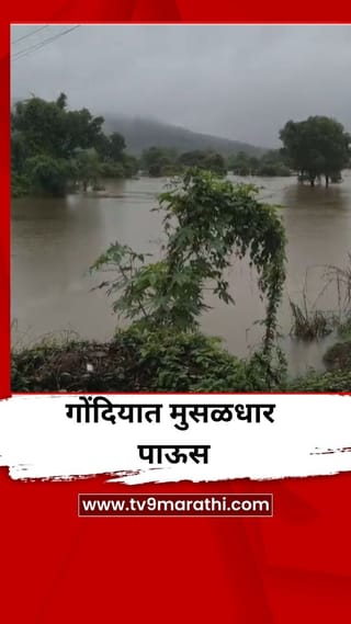 गोंदियात मुसळधार पाऊस, नद्यांना पूर