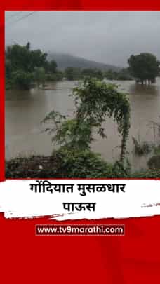 गोंदियात मुसळधार पाऊस, नद्यांना पूर-1705066