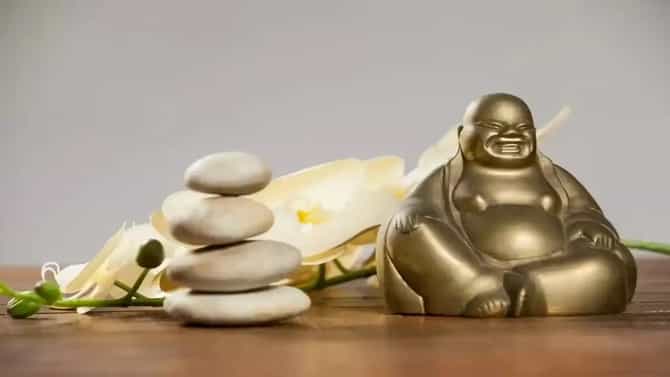 feng Shui : आर्थिक समस्या सोडवण्यासाठी हे 4 प्रभावी उपाय, घरात नांदेल समृद्धी