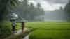 weather update : पुढच्या दहा तासांमध्ये धो-धो कोसळणार, नदी नाले एक होणार, आयएमडीकडून पावसाचा मोठा इशारा