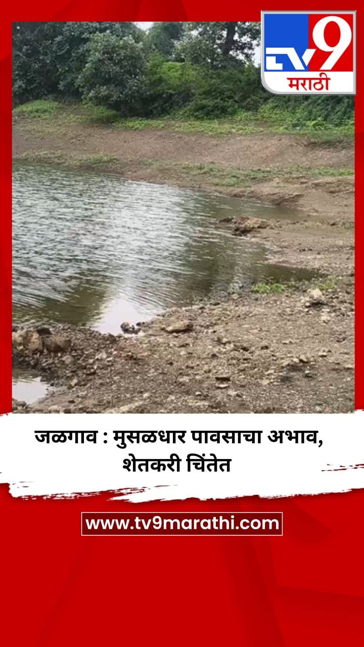 जळगाव : मुसळधार पावसाचा अभाव, शेतकरी चिंतेत-1721138