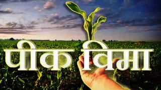 खरीपातील या 14 पिकांसाठी विमा योजना जाहीर…अर्ज कसा आणि कुठे करणार? या शेतकऱ्यांना काळ्या यादीत टाकणार