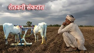 मोठी चिंता! मराठवाड्यात खरीप पेरणीचा वेग मंदावला, पावसाच्या खंडामुळे शेतकरी संकटात, कुठे किती टक्का?