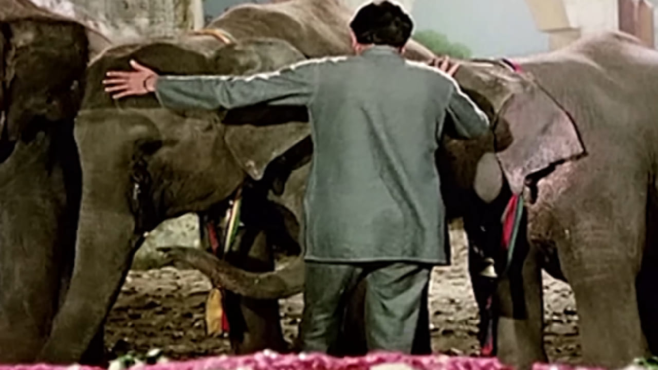 'हाथी मेरे साथी' हा चित्रपटही प्रचंड गाजला. आजही हे गाणं ऐकताना अनेक श्रोत्यांच्या डोळ्यांत पाणी येते आणि मोहम्मद रफी यांच्या भावपूर्ण गायकीची आठवण ताजी होते.