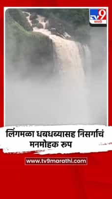 पावसाने खुलले महाबळेश्वर; लिंगमळा धबधबाचे मनमोहक रूप-1711513