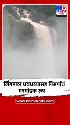 पावसाने खुलले महाबळेश्वर; लिंगमळा धबधबाचे मनमोहक रूप
