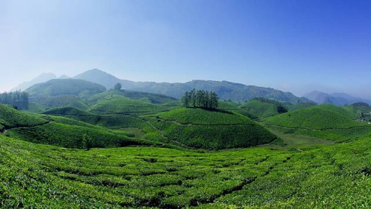 केरळातील MUNNAR हे हिरवाईने नटलेले असून उत्तम हिल स्टेशन असून ते वर्षाचे १२ महिने थंड असते. मात्र पावसात त्याला पाहणे हे नेत्रसुखद असते.