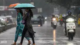 29,30,31 तारखेला पावसाचा कहर, शाळा बंद; CMO कडून अलर्ट जारी.