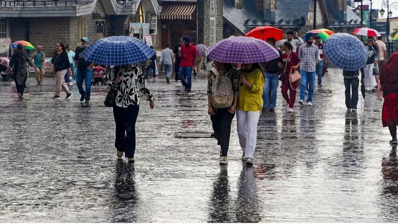 पुन्हा पाऊस आला रे, पुणे ते सातारा धो-धो बरसणार; नदी नाले तुडुंब भरणार; हवामानाचा नवा अंदाज काय? पुन्हा पाऊस आला रे, पुणे ते सातारा धो-धो बरसणार; नदी नाले तुडुंब भरणार; हवामानाचा नवा अंदाज काय?