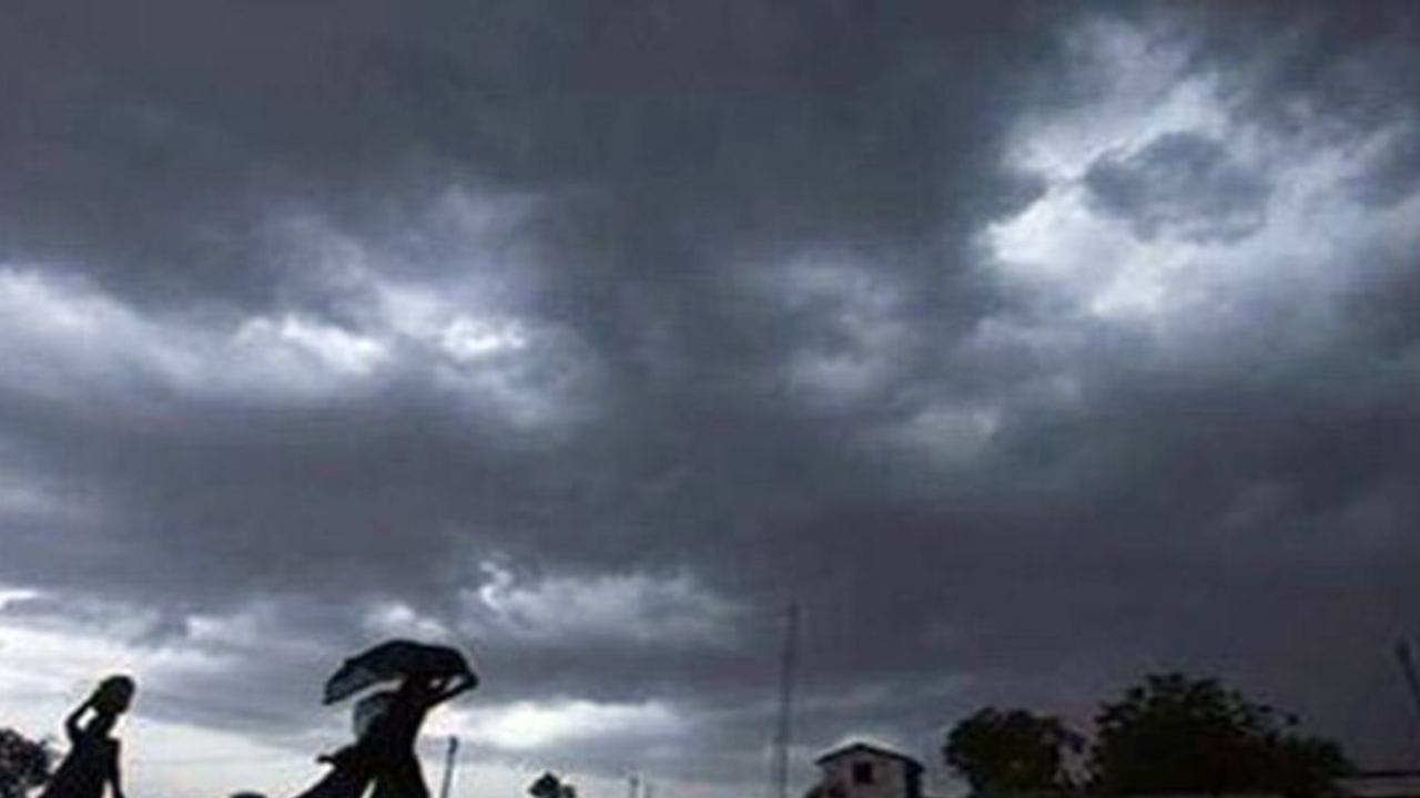 Maharashtra Rain Update : राज्यात धो धो पाऊस, तब्बल इतक्या जिल्ह्यांना मुसळधार पाऊस, 24 तासात.. Maharashtra Rain Update : राज्यात धो धो पाऊस, तब्बल इतक्या जिल्ह्यांना मुसळधार पाऊस, 24 तासात..