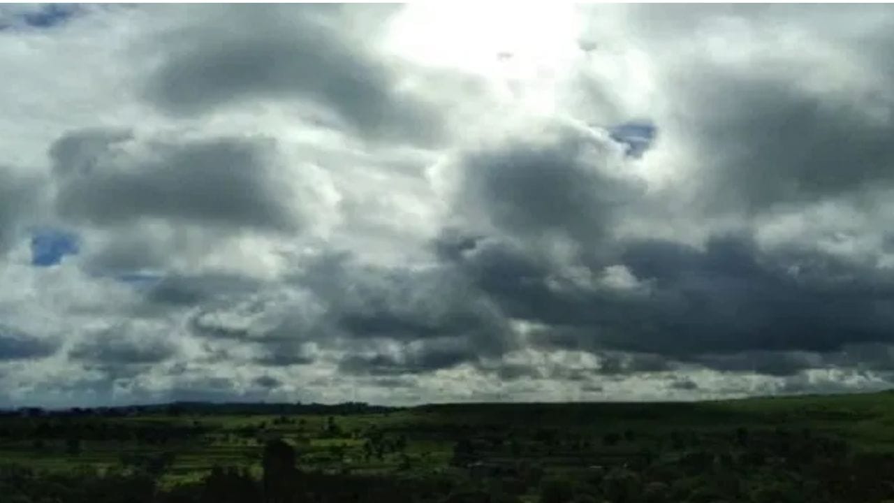Maharashtra Weather Update : राज्यात धो धो पाऊस बरसणार, मोठा इशारा, तब्बल इतक्या जिल्ह्यात..
