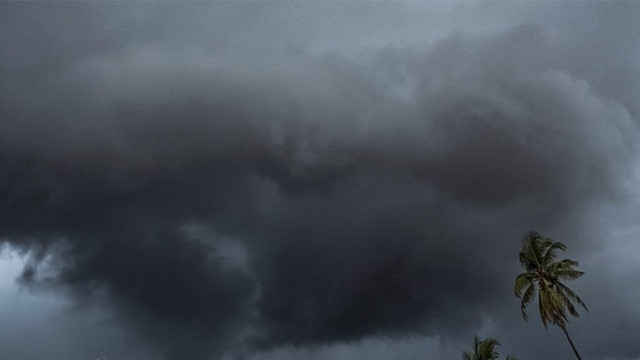 Maharashtra Weather Update : अतिमुसळधार पावसाचा इशारा, राज्यात धो धो पाऊस, मुंबई, पुणे, रायगडसह.. Maharashtra Weather Update : अतिमुसळधार पावसाचा इशारा, राज्यात धो धो पाऊस, मुंबई, पुणे, रायगडसह..