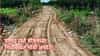 Panand Road: पाणंद रस्ते योजनेच्या निधीबाबत मोठी अपडेट! नवीन शासन निर्णय दाखल, वाचा सविस्तर