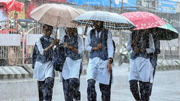 मुंबईला उद्याही पावसाचा अलर्ट, बुधवारी शाळा-ऑफिस चालू की बंद? वाचा लेटेस्ट अपडेट