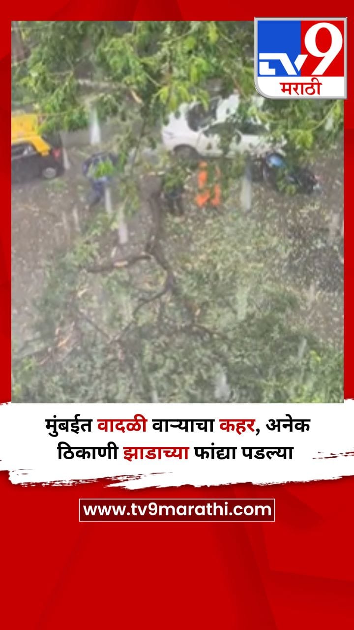 मुंबईत वादळी वाऱ्याचा कहर, अनेक ठिकाणी झाडाच्या फांद्या पडल्या-1705306