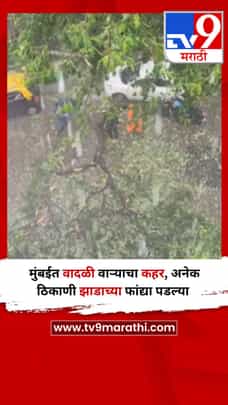 मुंबईत वादळी वाऱ्याचा कहर, अनेक ठिकाणी झाडाच्या फांद्या पडल्या-1705306