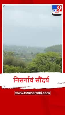 Naneghat : भिमाशंकर नाणेघाटात निसर्गाचे सौंदर्य फुलले, पाहा व्हीडिओ-1703835