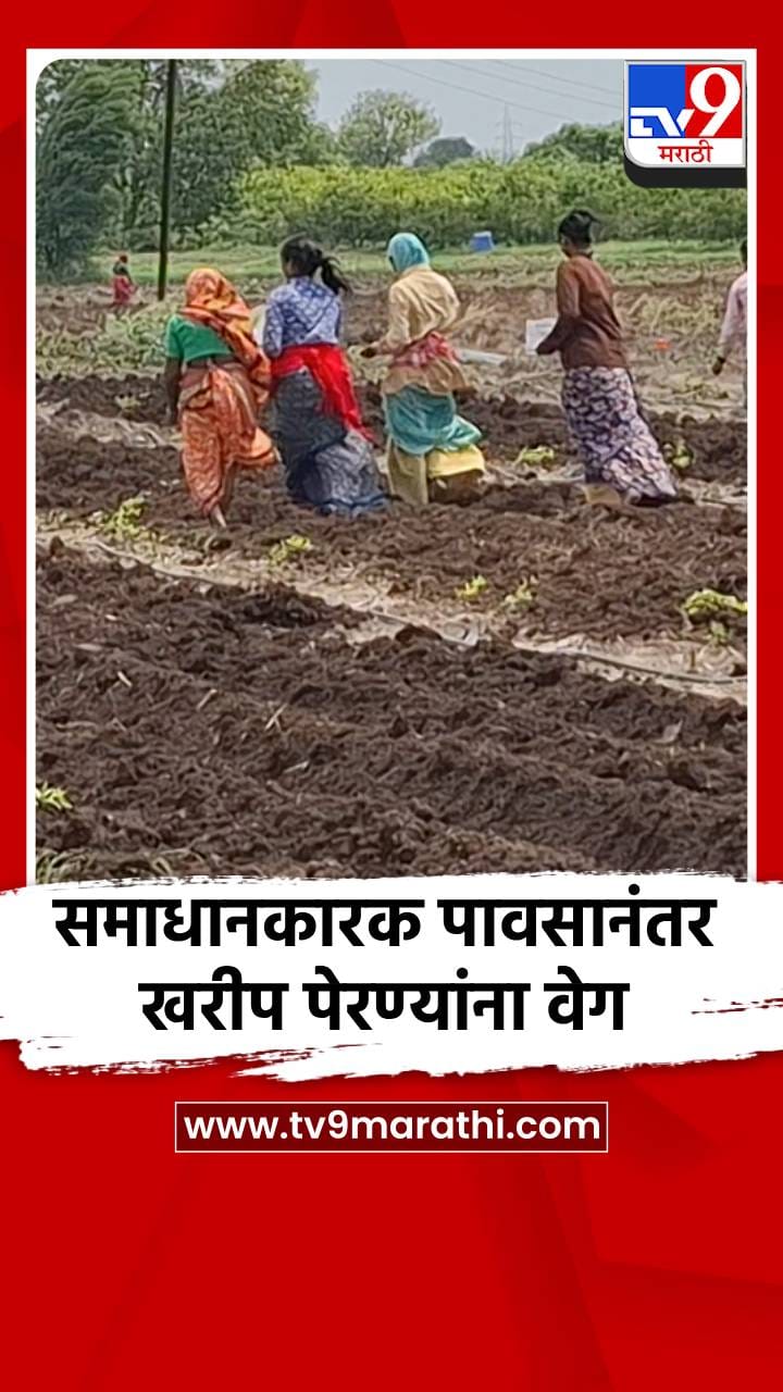 समाधानकारक पावसानंतर खरीप पेरण्यांना वेग-1709328