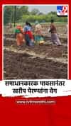 समाधानकारक पावसानंतर खरीप पेरण्यांना वेग