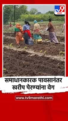 समाधानकारक पावसानंतर खरीप पेरण्यांना वेग-1709328