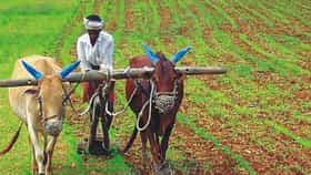 बनावट बियाण्यांना लगाम, दिवसा वीज... फडणवीसांनी सांगितला प्लॅन!.