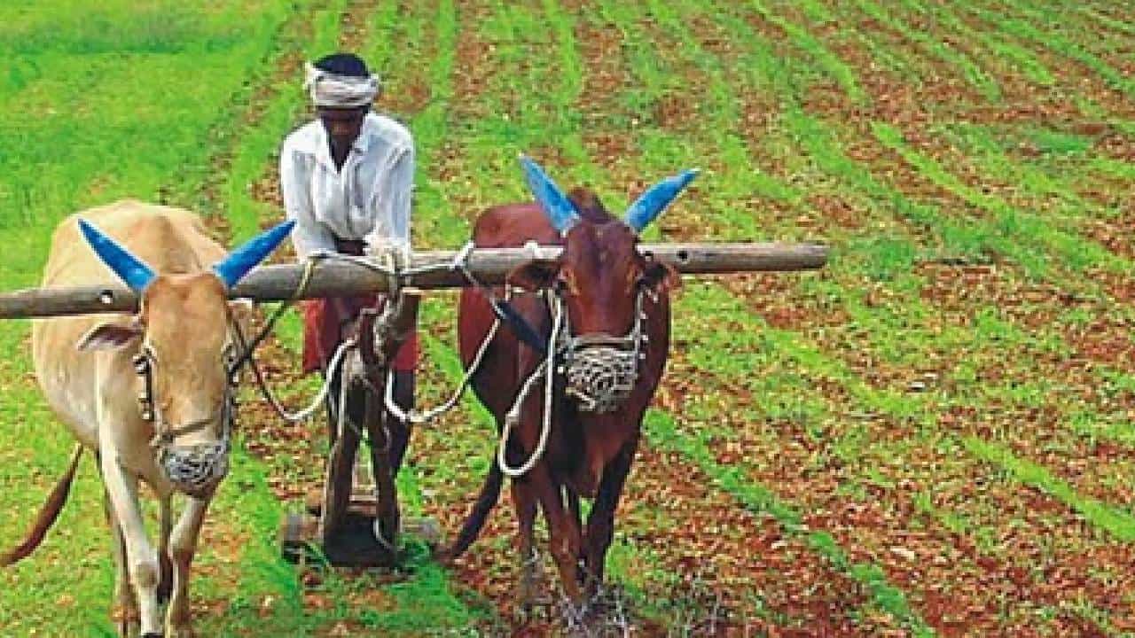 मोठी बातमी! बनावट बियाण्यांना लगाम, दिवसा वीज, AI शेती… मुख्यमंत्री फडणवीसांनी सांगितला प्लॅन!