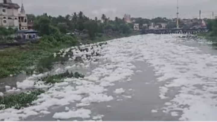 Indrayani River | पालखीपूर्वी इंद्रायणीला प्रदूषणाचा विळखा! फेसाळलेल्या नदीने वारकऱ्यांचा संताप अनावर Indrayani River | पालखीपूर्वी इंद्रायणीला प्रदूषणाचा विळखा! फेसाळलेल्या नदीने वारकऱ्यांचा संताप अनावर