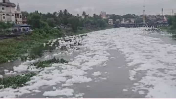 Indrayani River | पालखीपूर्वी इंद्रायणीला प्रदूषणाचा विळखा! फेसाळलेल्या नदीने वारकऱ्यांचा संताप अनावर Indrayani River | पालखीपूर्वी इंद्रायणीला प्रदूषणाचा विळखा! फेसाळलेल्या नदीने वारकऱ्यांचा संताप अनावर