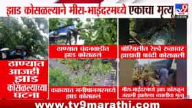 धावत्या स्कूटरवर कोसळलं नारळाचं झाड! अन् पुढे जे झालं....-1703469