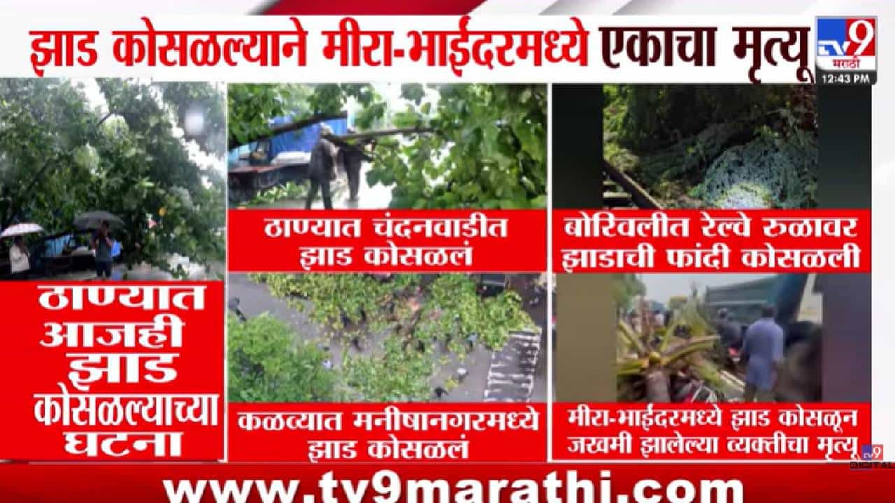 Tree Collapse Mumbai | धावत्या स्कूटरवर कोसळलं नारळाचं झाड! तरुणाचा दुर्दैवी मृत्यू; निष्काळजीपणामुळे आणखी एकाचा बळी