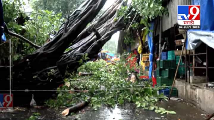 Mumbai | दादर फुल मार्केटवर कोसळला 100 वर्ष जुना वड! वारंवार तक्रारी करूनही BMC झोपेत; थोडक्यात... Mumbai | दादर फुल मार्केटवर कोसळला 100 वर्ष जुना वड! वारंवार तक्रारी करूनही BMC झोपेत; थोडक्यात...