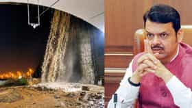 विरोधकांच्या मेंदूतून 'मिसिंग' झालेली अक्कल, विरोधकांवर फडणवीस बरसले...