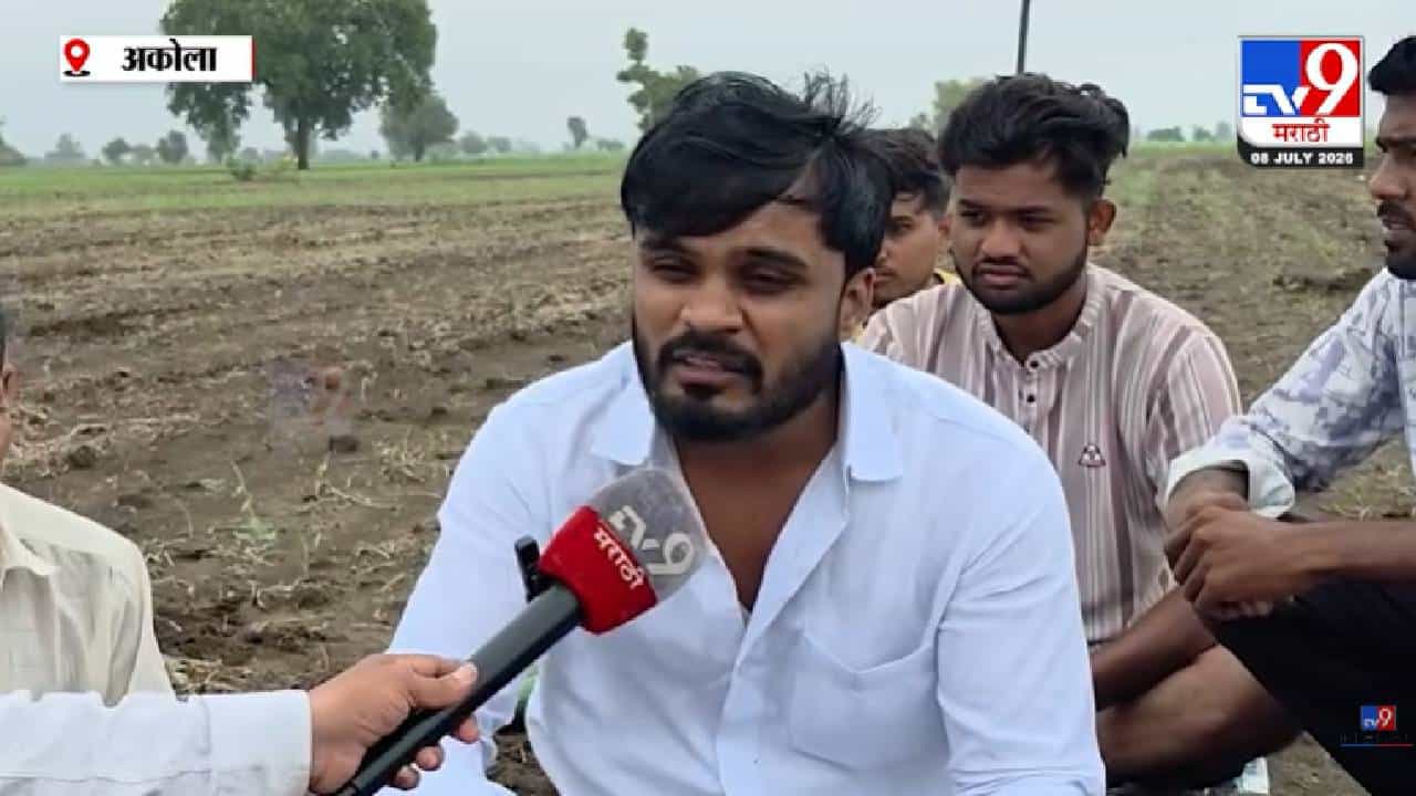 Akola | बोगस बियाण्यांनी घात केला! शेतात अंकुरच फुटला नाही; हजारो शेतकऱ्यांवर दुबार पेरणीचं संकट