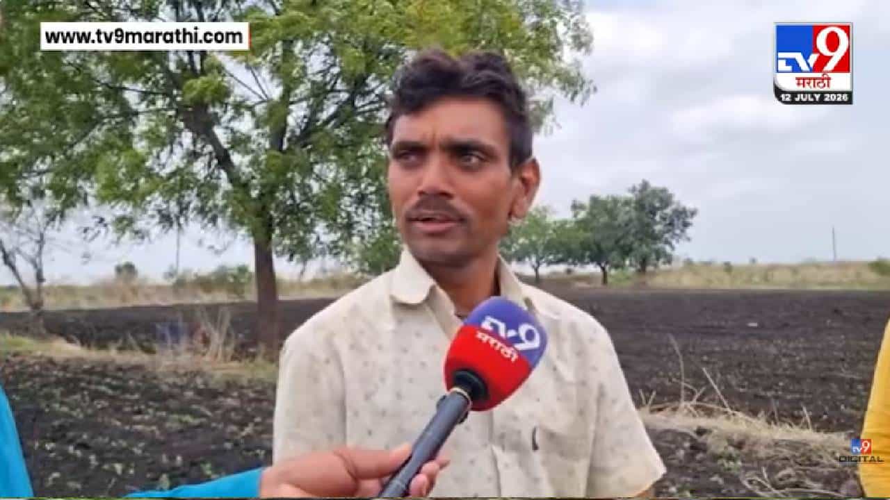 Beed | पावसाने दिला दगा! 50 हजार खर्च करूनही परळीत सोयाबीनने टाकल्या माना; शेतकरी हवालदिल