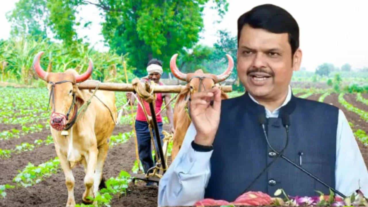 मुख्यमंत्र्यांची मोठी घोषणा! उद्या जाहीर होणार कर्जमाफीच्या पात्र शेतकऱ्यांची पहिली यादी