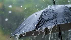 रायगड ते विदर्भ... राज्यातील अनेक जिल्ह्यांमध्ये मुसळधार पावसाचा इशारा-1720438
