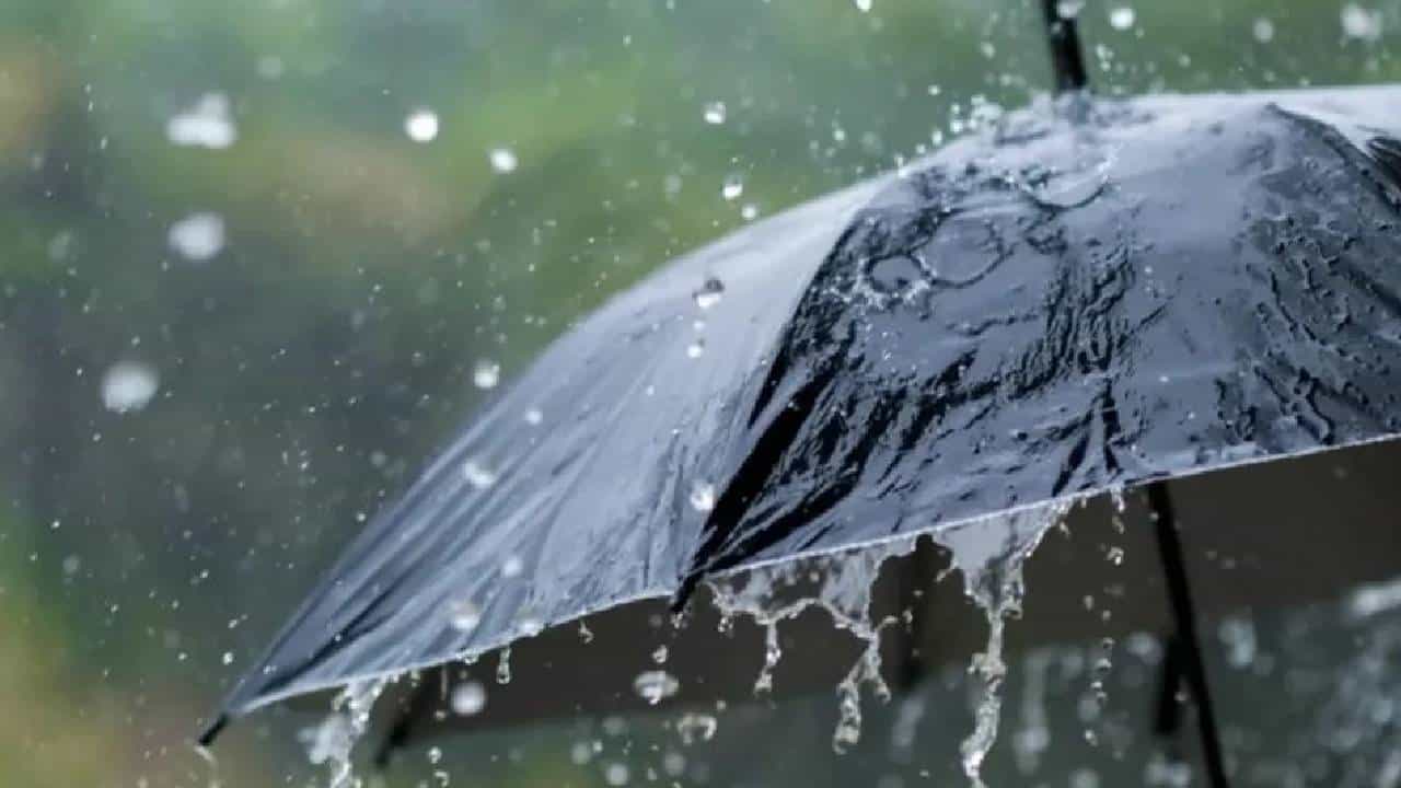 ब्रेकिंग! रायगड ते विदर्भ… राज्यातील अनेक जिल्ह्यांमध्ये मुसळधार पावसाचा इशारा