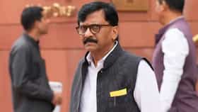 तुमची दाढी अजून जळतेय...; शिंदेंच्या टीकेला राऊतांचा जोरदार पलटवार.