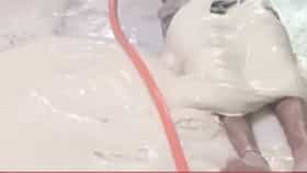 37 सेकंदांचा व्हिडिओ अन् सोशल मीडियावर संतापाची लाट; सोयाबीन चाप...-1720611