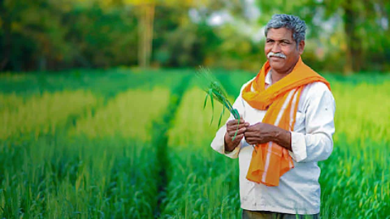 शेतकऱ्यांसाठी खुशखबर! कर्जमाफी योजनेची पहिली यादी जाहीर; लाखो शेतकऱ्यांना फायदा