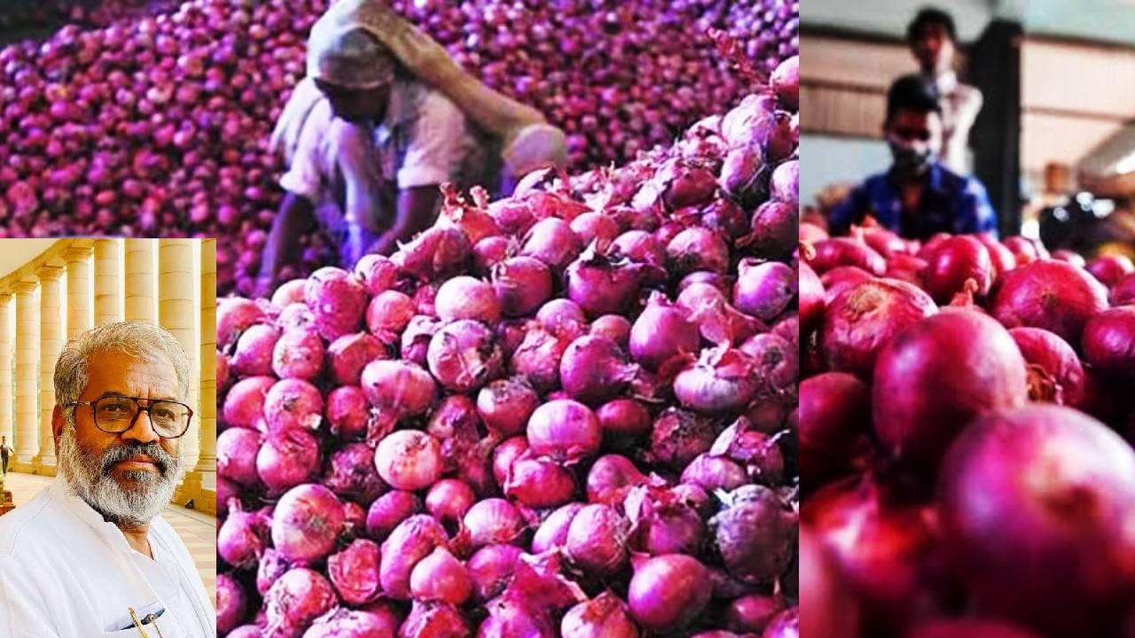 कांदा यंदाही रडवणार? कांदा टंचाईच्या पाशा पटेलांच्या दाव्याची शेतकरी संघटनेने अशी काढली हवा, काय दिला सरकारला इशारा? कांदा यंदाही रडवणार? कांदा टंचाईच्या पाशा पटेलांच्या दाव्याची शेतकरी संघटनेने अशी काढली हवा, काय दिला सरकारला इशारा?