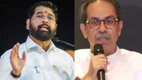 ठाकरेंना आणखी एक मोठा धक्का बसणार? ऑपरेशन टायगरबाबत मोठी अपडेट.