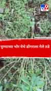 पुण्याच्या भोर येथे डोंगराला गेले तडे