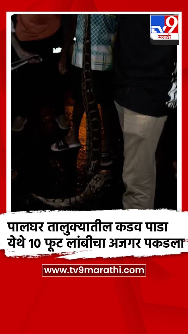 पालघर तालुक्यातील कडव पाडा येथे 10 फूट लांबीचा अजगर पकडला-1707984